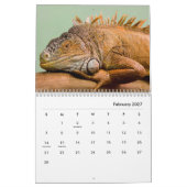 Iguana Wall Calendar Kalender (Feb 2027)