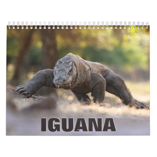 Iguana Wall Calendar Kalender (Titelbild)