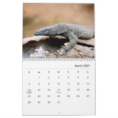 Iguana Wall Calendar Kalender (Mär 2027)