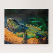 Iguana Wildlife Jigsaw Puzzle (Horizontal)