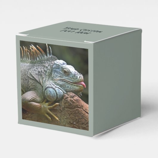 Iguana-Zollfavorit Geschenkschachtel (Vorderseite)