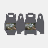 Iguana-Zollfavorit Geschenkschachtel (Ungefaltet)