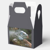 Iguana-Zollfavorit Geschenkschachtel (Geöffnet)