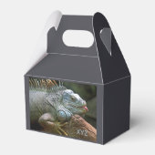 Iguana-Zollfavorit Geschenkschachtel (Vorderseite)