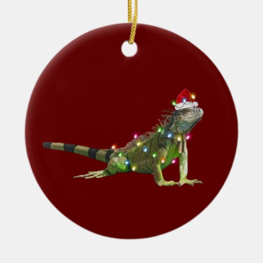 Iguanas mit Hutschuhwein Keramik Ornament (Vorne)