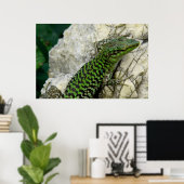 iguanas poster (Heimbüro)