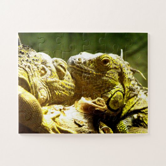 Iguanas Puzzle (Horizontal)