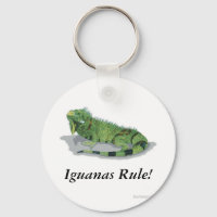 Iguanas-Regel!