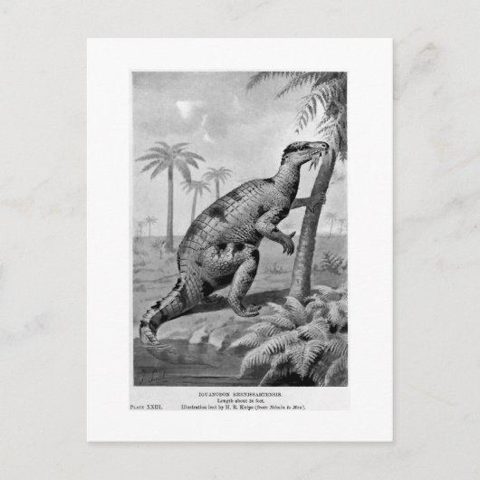 Iguanodon bernissartensis art postcard postkarte (Vorderseite)