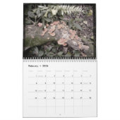 Iguazu_Calender Kalender (Feb 2026)