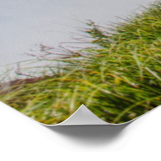 Iguazu Falls, Devil's Throat, Argentinien Poster (Ecke)