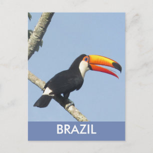 Iguazu Falls Toco Toucan Postcard Postkarte