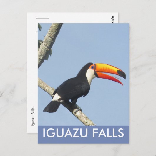 Iguazu Falls Toco Toucan Postcard Postkarte (Vorne/Hinten)