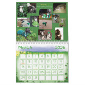 IGWhispers 2012 italienischer Windhund-Kalender Kalender (Mär 2026)