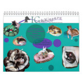 IGWhispers italienischer Windhund-Kalender 2013 2 Kalender (Titelbild)
