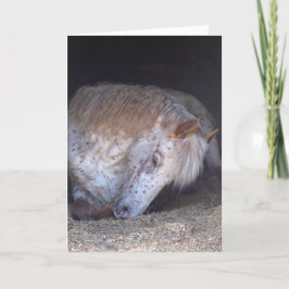 Ihm einfache Geburtstagskarte nehmen Karte