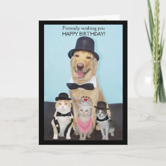 Ihnen alles Gute zum Geburtstag formal, wünschend Karte
