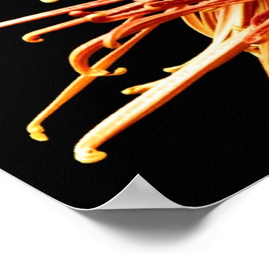 Ihnen beizubringen, alles zu befolgen, was ich geb poster (Ecke)