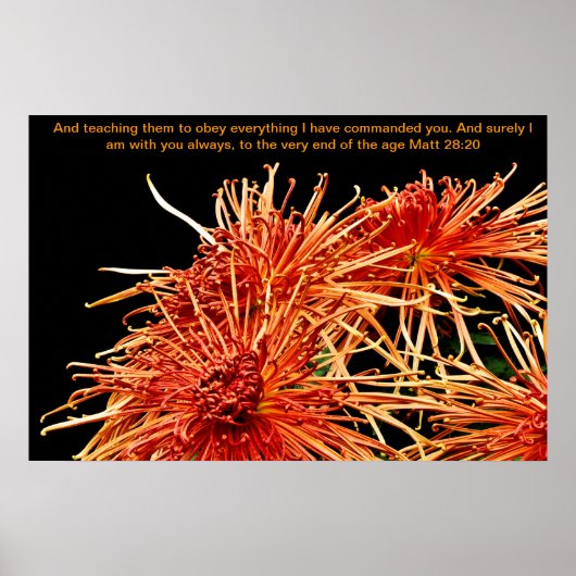 Ihnen beizubringen, alles zu befolgen, was ich geb poster (Vorne)