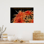 Ihnen beizubringen, alles zu befolgen, was ich geb poster (Küche)