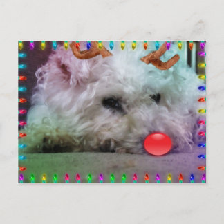 IHNEN EIN FRÖHLICHES WEIHNACHTEN WÜNSCHEN