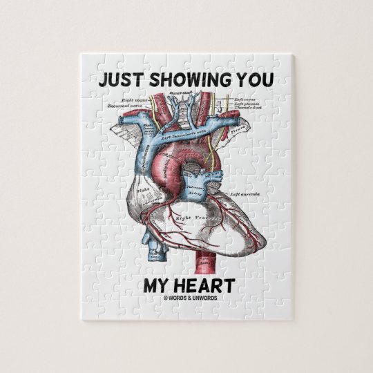 Ihnen Mein Herz Anatomisches Herz Gerade Puzzle Zazzle De