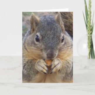 Ihnen werden jede mögliche Occasion_ Karte