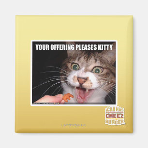 Ihr Angebot gefällt Miezekatze Magnet