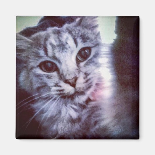 Ihr Begleiter Personalisiert Magnet (Vorne)