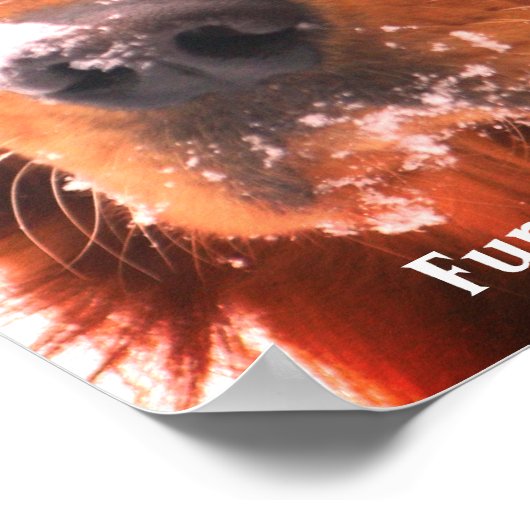 Ihr berühmtes Pet-Poster Poster (Ecke)