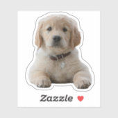 Ihr Bild hier Waterproof individuelles Notebook Aufkleber (Blatt)