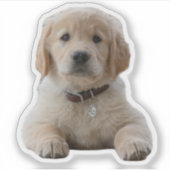 Ihr Bild hier Waterproof individuelles Notebook Aufkleber (Vorderseite)