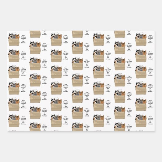 Ihr Cat Lady Starter Kit Geschenkpapier Set (Vorderseite 3)