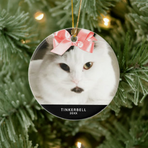 Ihr Chat-Foto Personalisierten Jahre Keramik Ornament