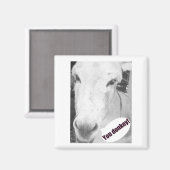 Ihr Esel Magnet (Vorderseite/Rückseite)