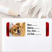 Ihr Foto auf benutzerdefinierten Rücksendeadressen (Insitu)