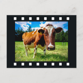 IHR FOTO auf der Postkarte "Filmstreifen"