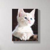 Ihr Foto benutzerdefiniert Leinwanddruck (Vorderseite)