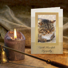 Ihr Foto Elegante Gold gestreifte Cat Sympathy Car Karte