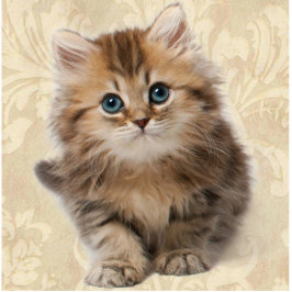 IHR FOTO FREISTEHENDE FOTOSKULPTUR