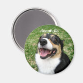 Ihr Foto für die Haustiere Fügen Sie hier Ihren Hu Magnet (Vorderseite/Rückseite)