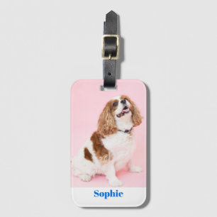 Ihr Foto für Hunde oder Haustiere, Blauer Name, Vs Gepäckanhänger