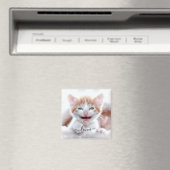 Ihr Foto für Katzen mit Swaps Magnet (In Situ (Geschirrspüler))