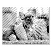 Ihr Foto Gummistempel (Prägung)