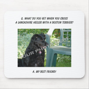 Ihr Foto hier! Bester Freund Lancashire Heeler Mousepad