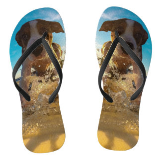Ihr Foto hier - Foto für die Haustiere Flip Flops Badesandalen