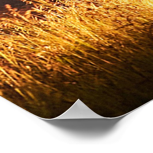 Ihr Foto hier Poster (Ecke)