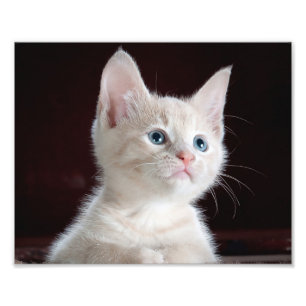 Ihr Foto-kundenspezifischer Druck