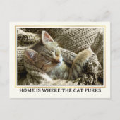 Ihr Foto Niedlich Kitten Neue Adresse Postkarte (Vorderseite)