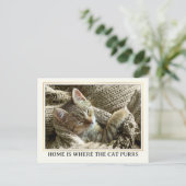 Ihr Foto Niedlich Kitten Neue Adresse Postkarte (Stehend Vorderseite)